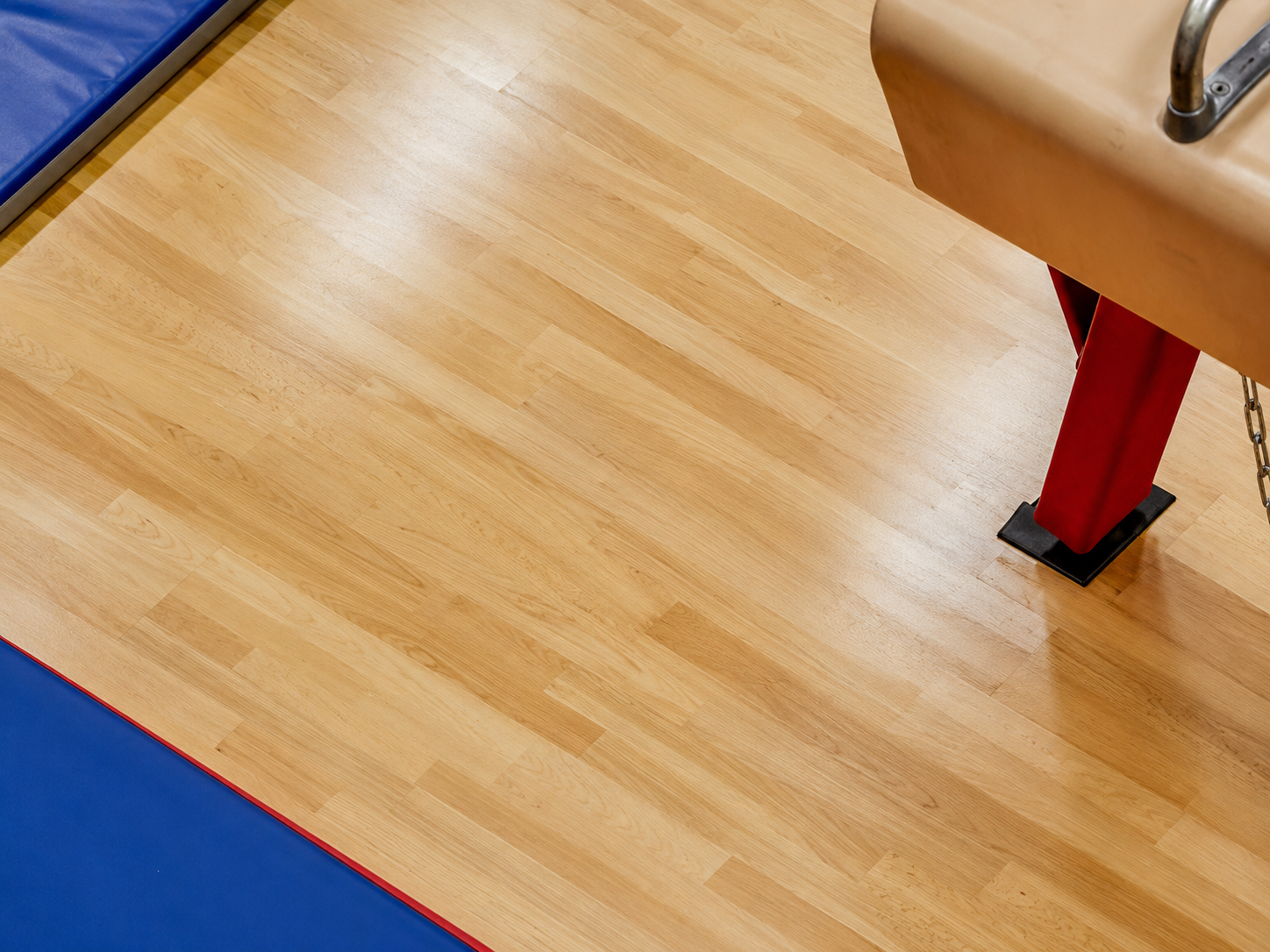 Parquet Sportivo